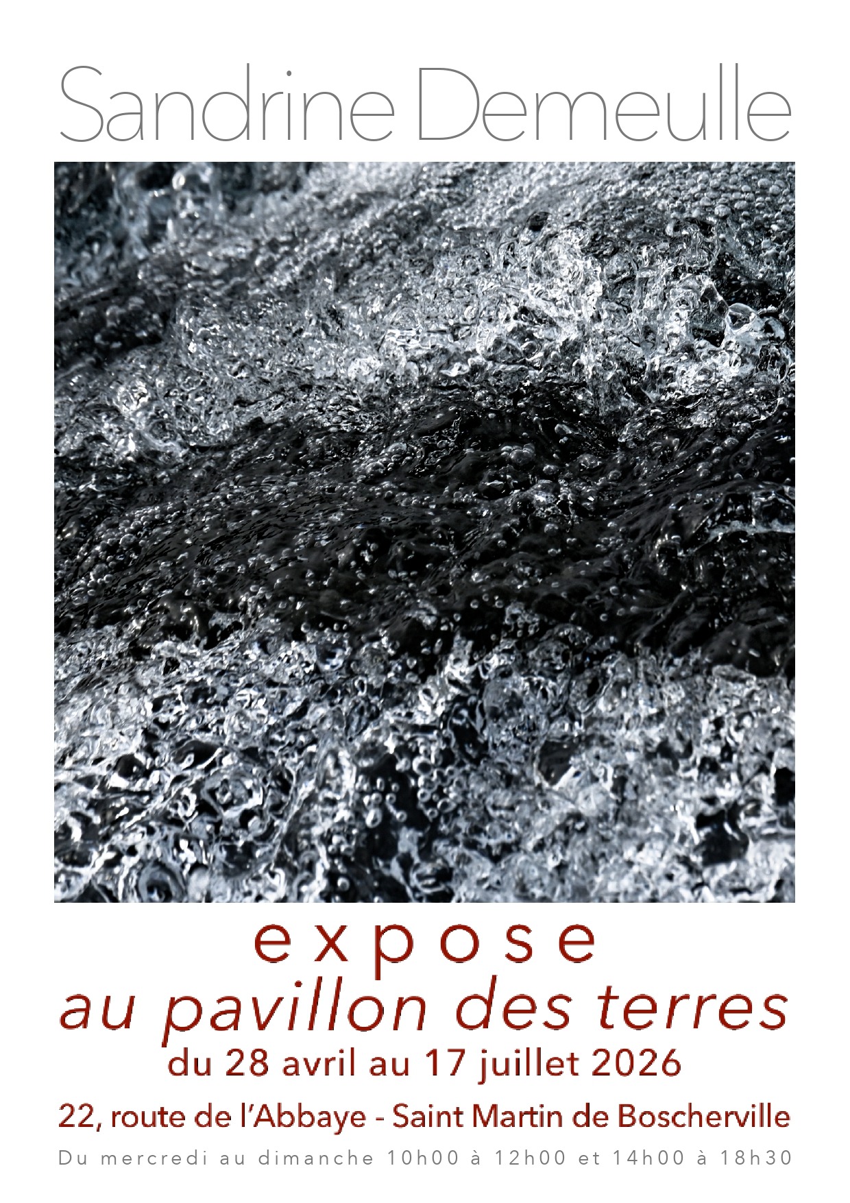 AfficheSandrine