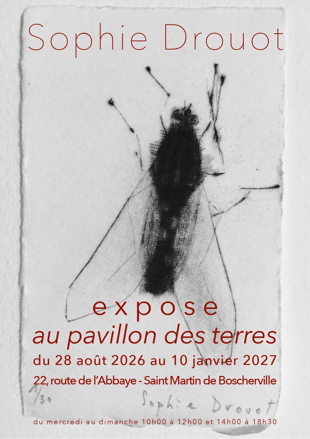 AfficheSophie1